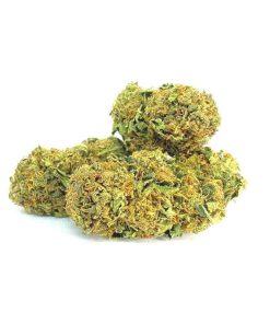AGENT ORANGE