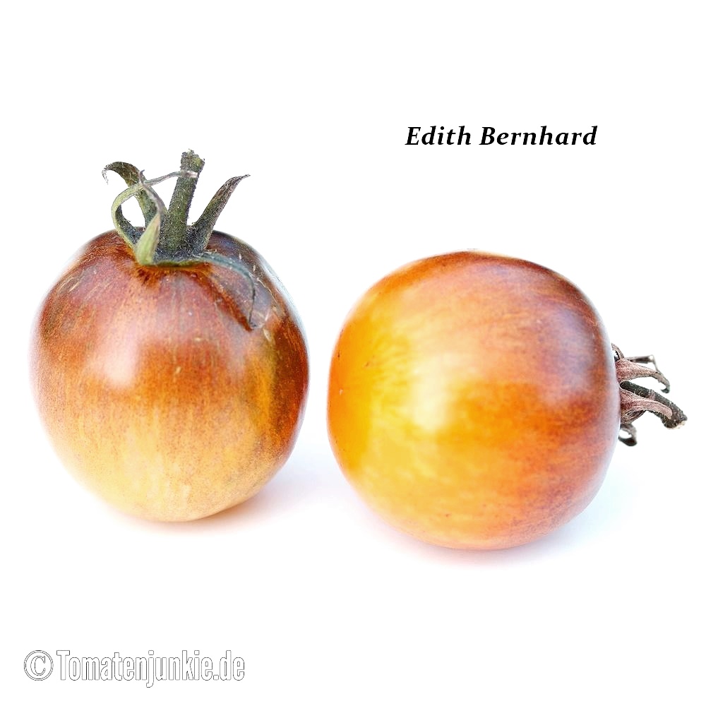 Edith Bernhard – Bild 4